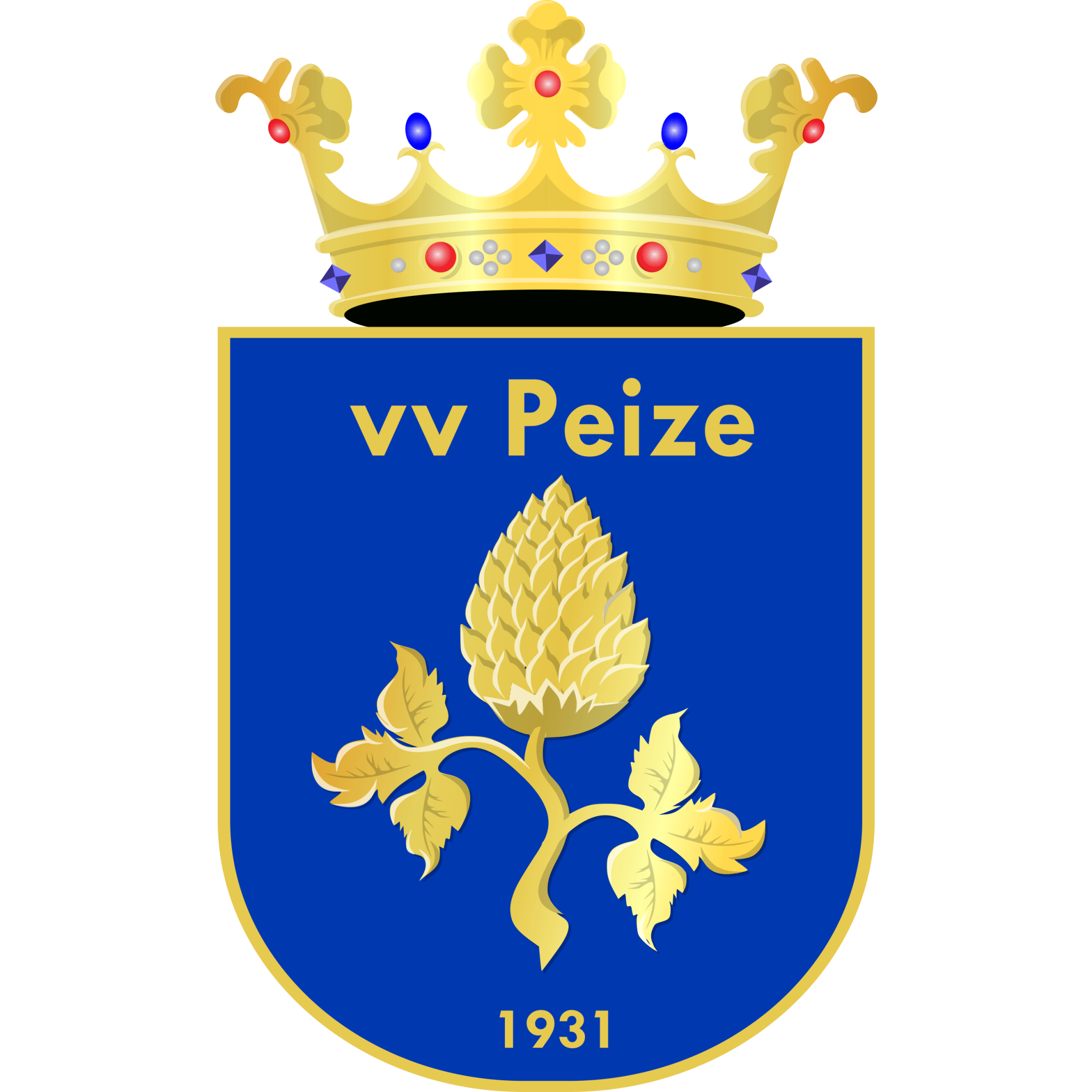 VV Peize Logo